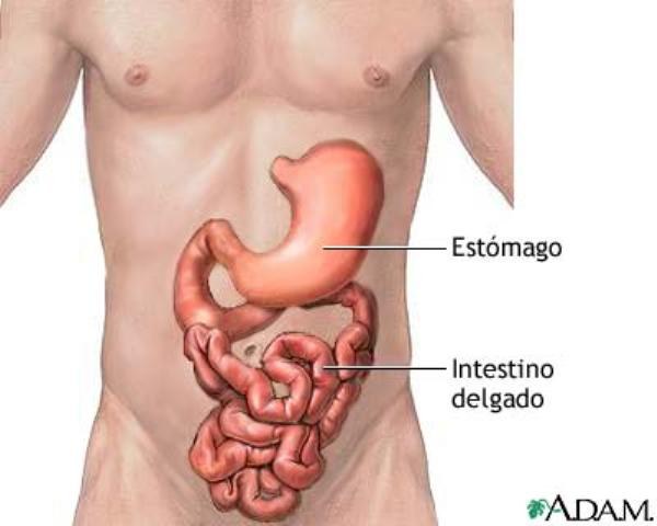 ESTUDO (2)