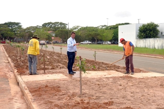 Começa a arborização na Tancredo Neves