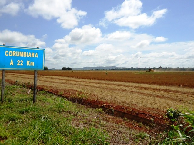 Plantadores de soja do Cone Sul estão em plena colheita e enfrentam desafios