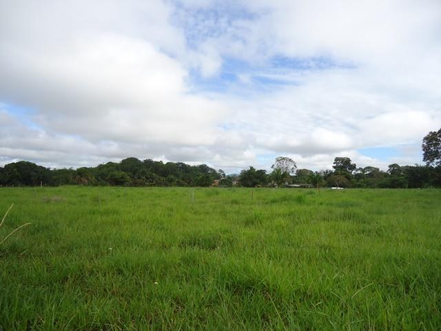 Cerejeiras perde verba federal de um R$ 1,6 milhão destinado a parque ecológico