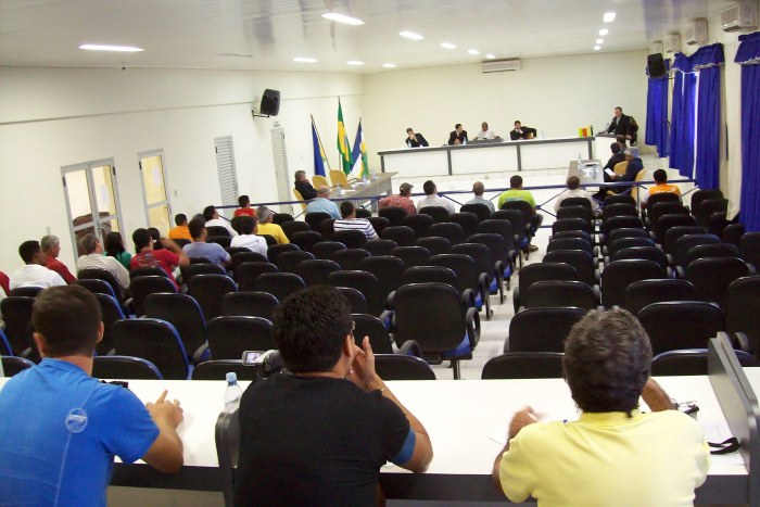 CÂMARA ELEGE MEMBROS DAS COMISSÕES PERMANENTES