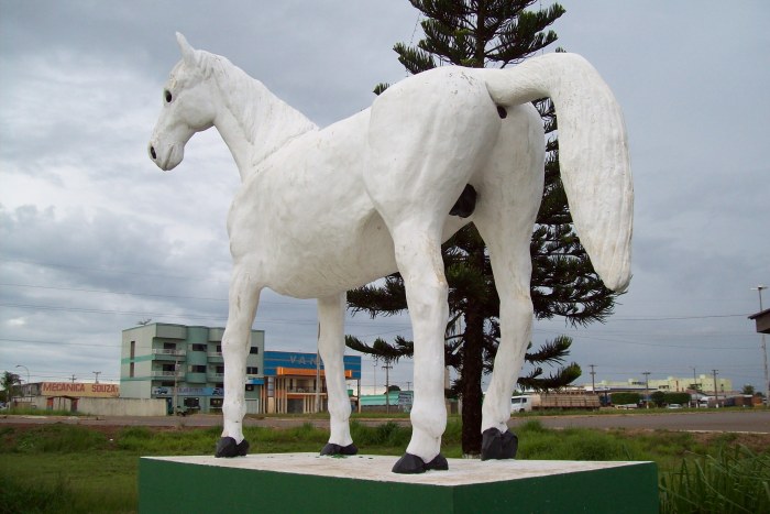 HOMEM DO CAVALO BRANCO JÁ ESTÁ NA RUA