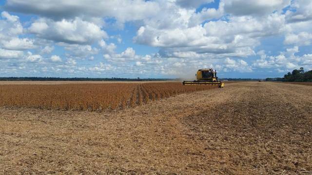 Com prejuízos neste ano, plantadores de soja de Cerejeiras apostam na safra de 2017
