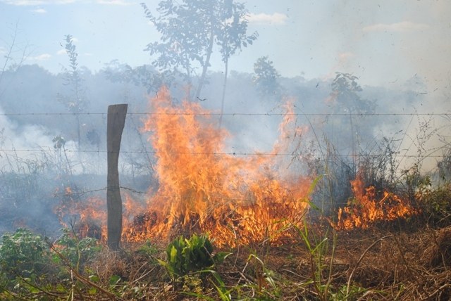 Incêndios continuam causando prejuízo em Vilhena; agricultor perdeu R$ 15 mil