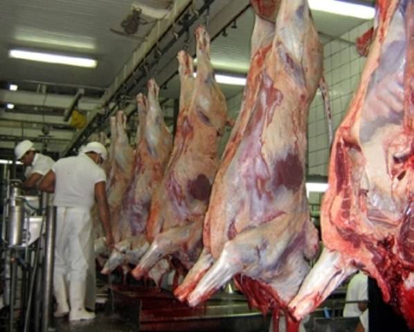 FAVORECIMENTOS A FRIGORÍFICOS AFLORAM COM DESMONTE DE ESQUEMA