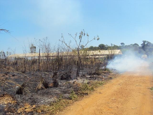 Leitora denuncia: apesar de campanhas, queimadas já começaram em Vilhena