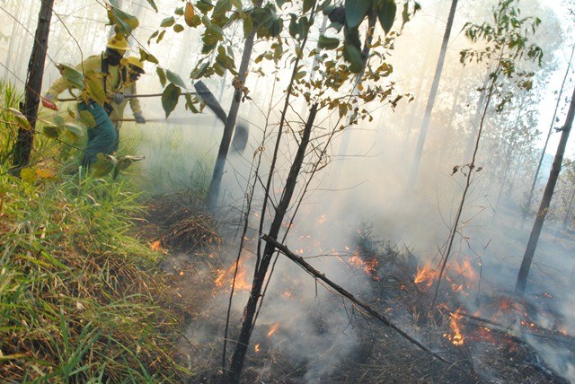 Sem almoço, Bombeiros e Prevfogo combatem quarto incêndio do dia em Vilhena